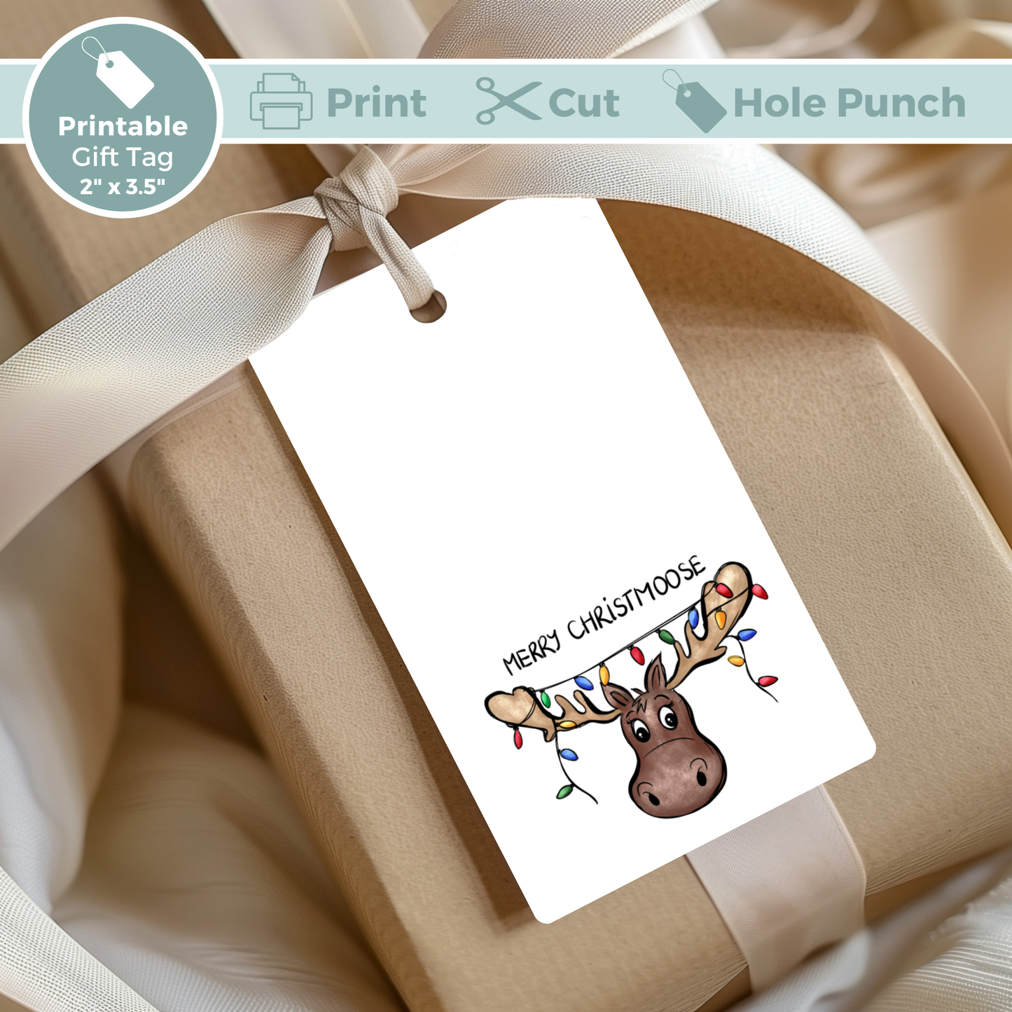 Set of 6 Printable Christmas Gift Tags - Funny