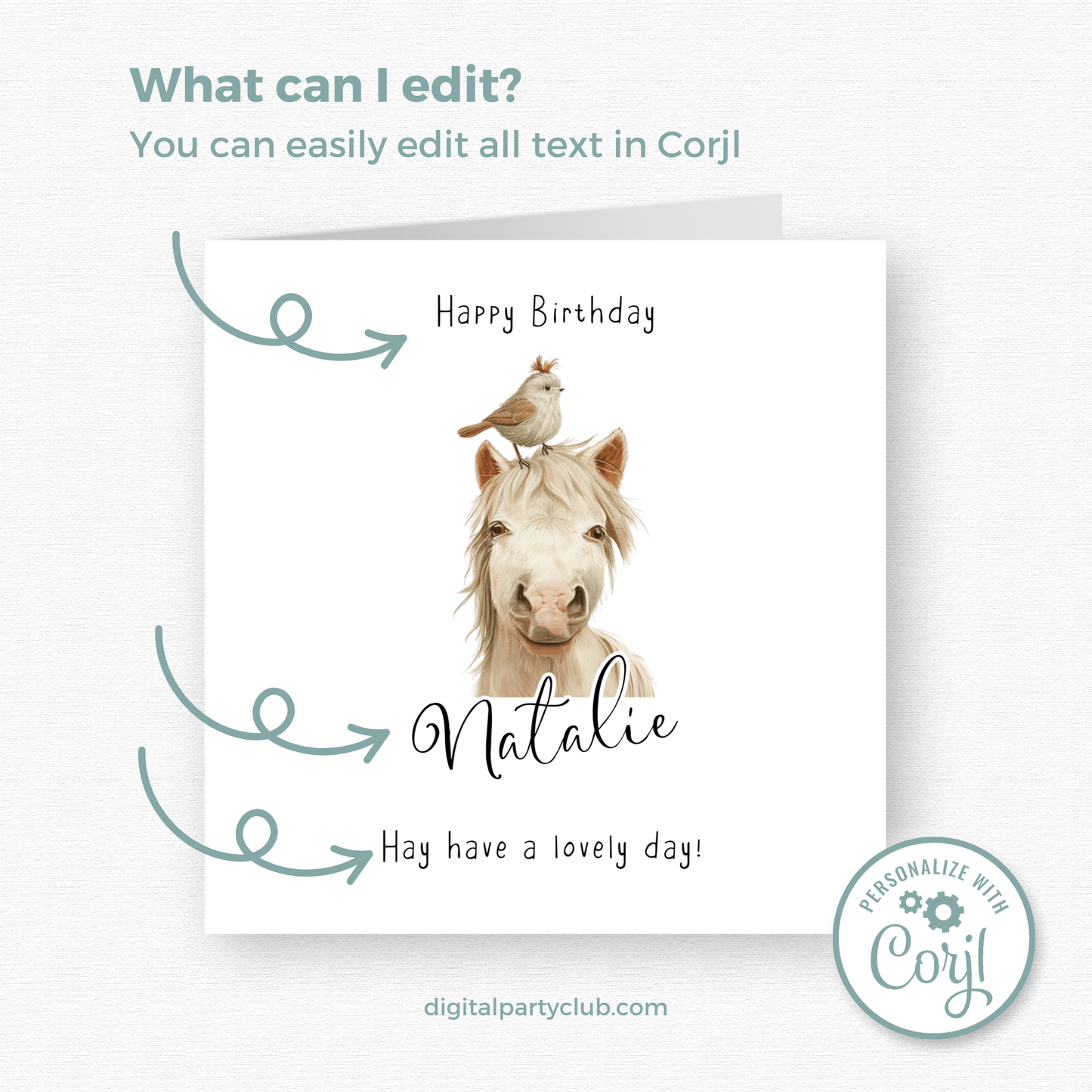 Editable Birthday Card - Cute Horse with Bird
