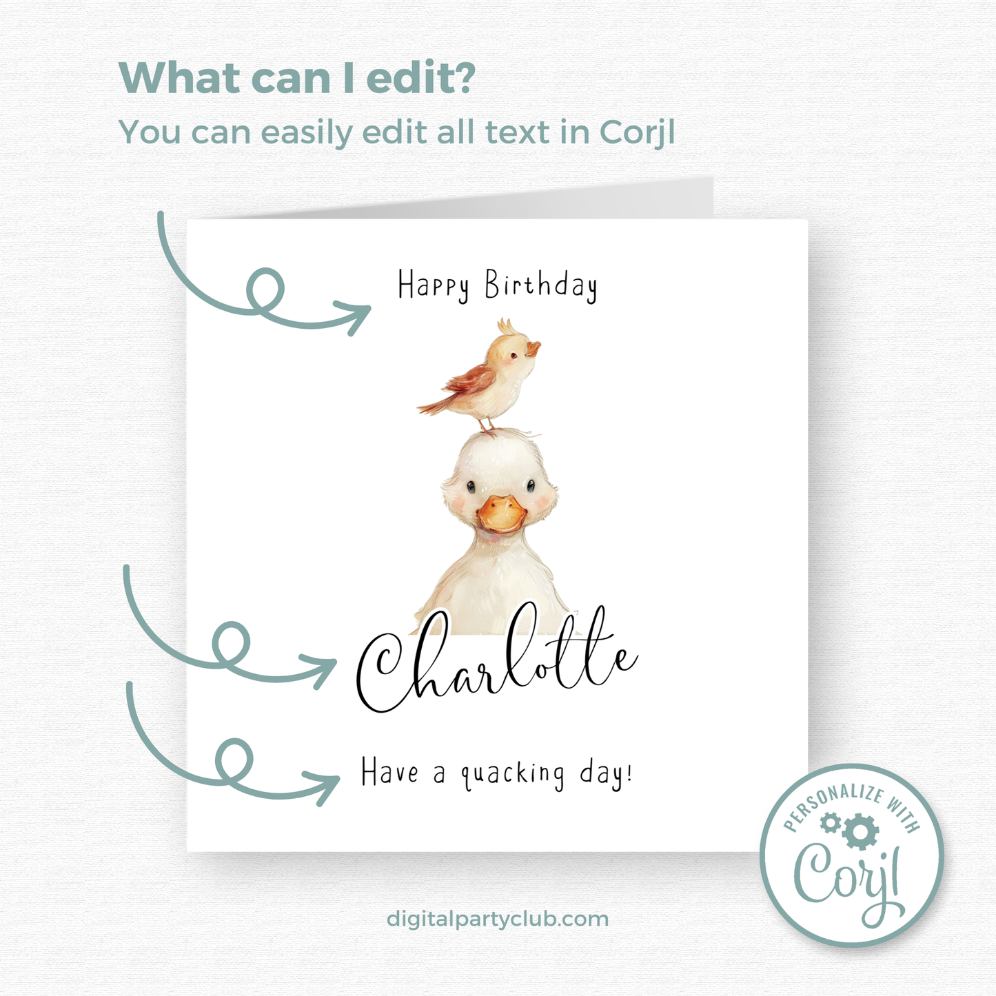 Editable Birthday Card - Duckling with Bird