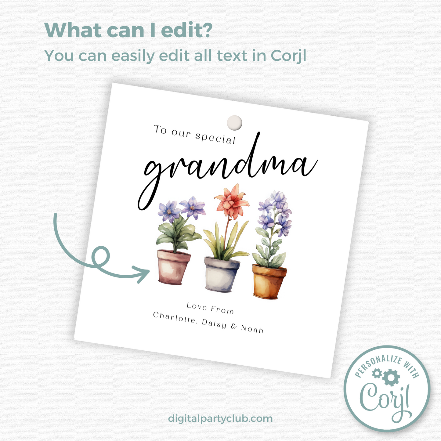 Editable Grandma Birthday Gift Tag