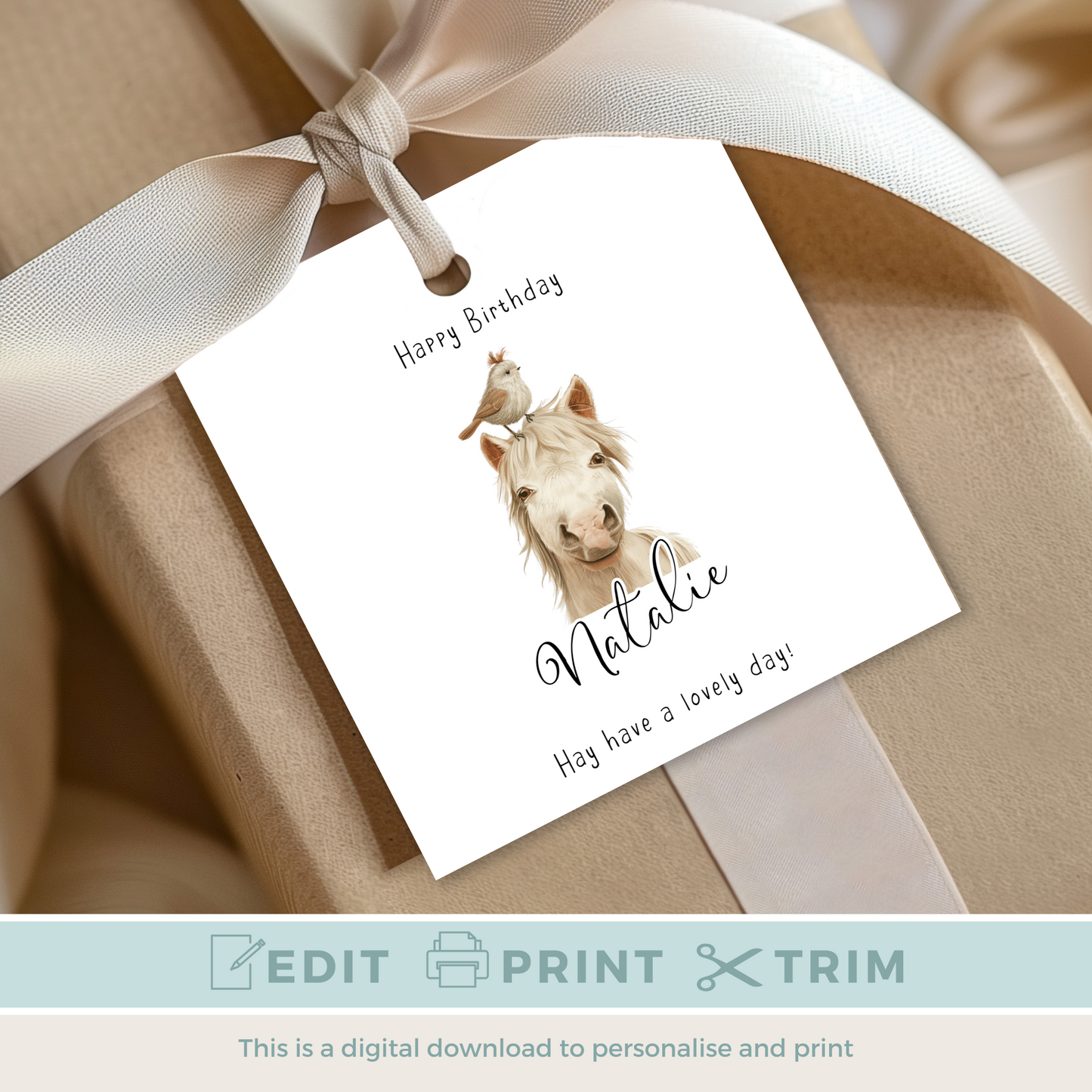 Editable Horse Birthday Gift Tag