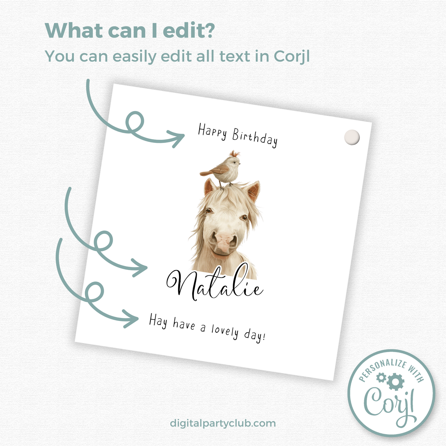 Editable Horse Birthday Gift Tag