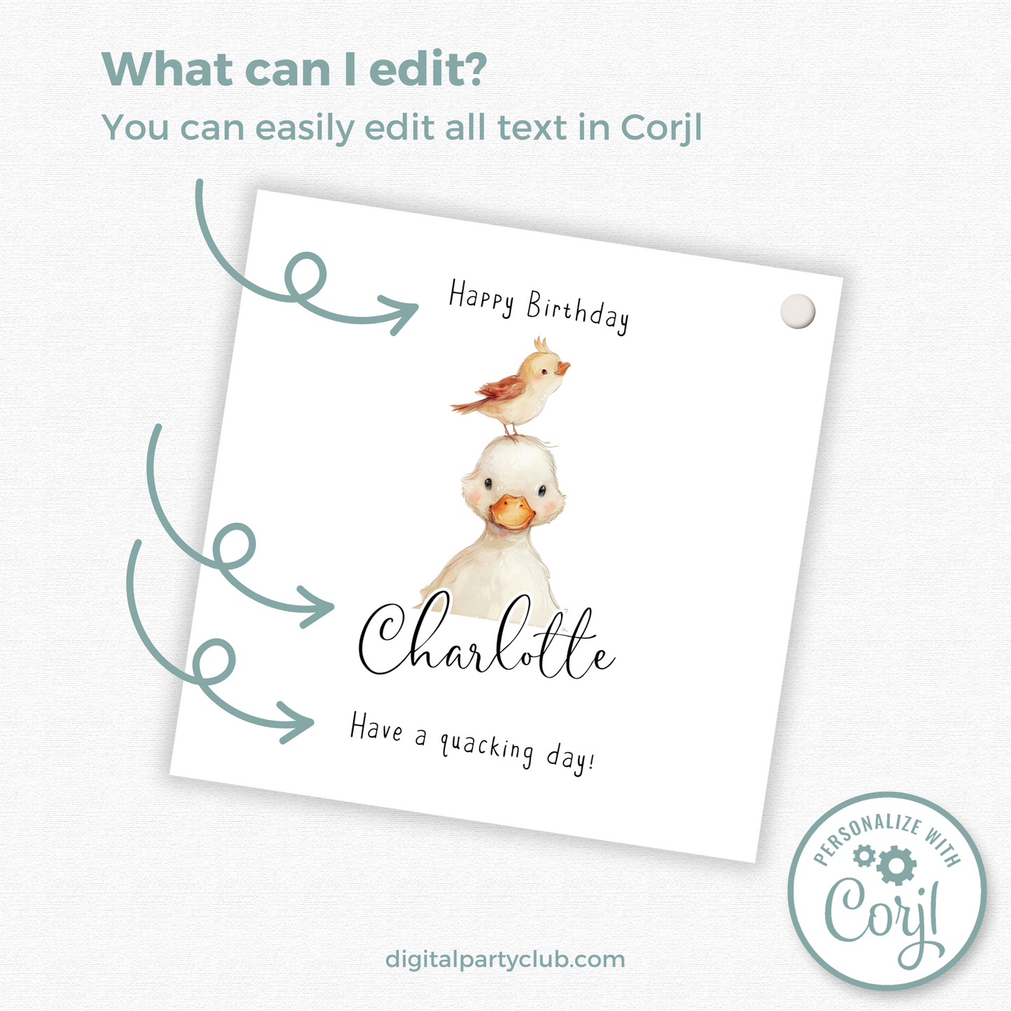 Editable Duckling Birthday Gift Tag