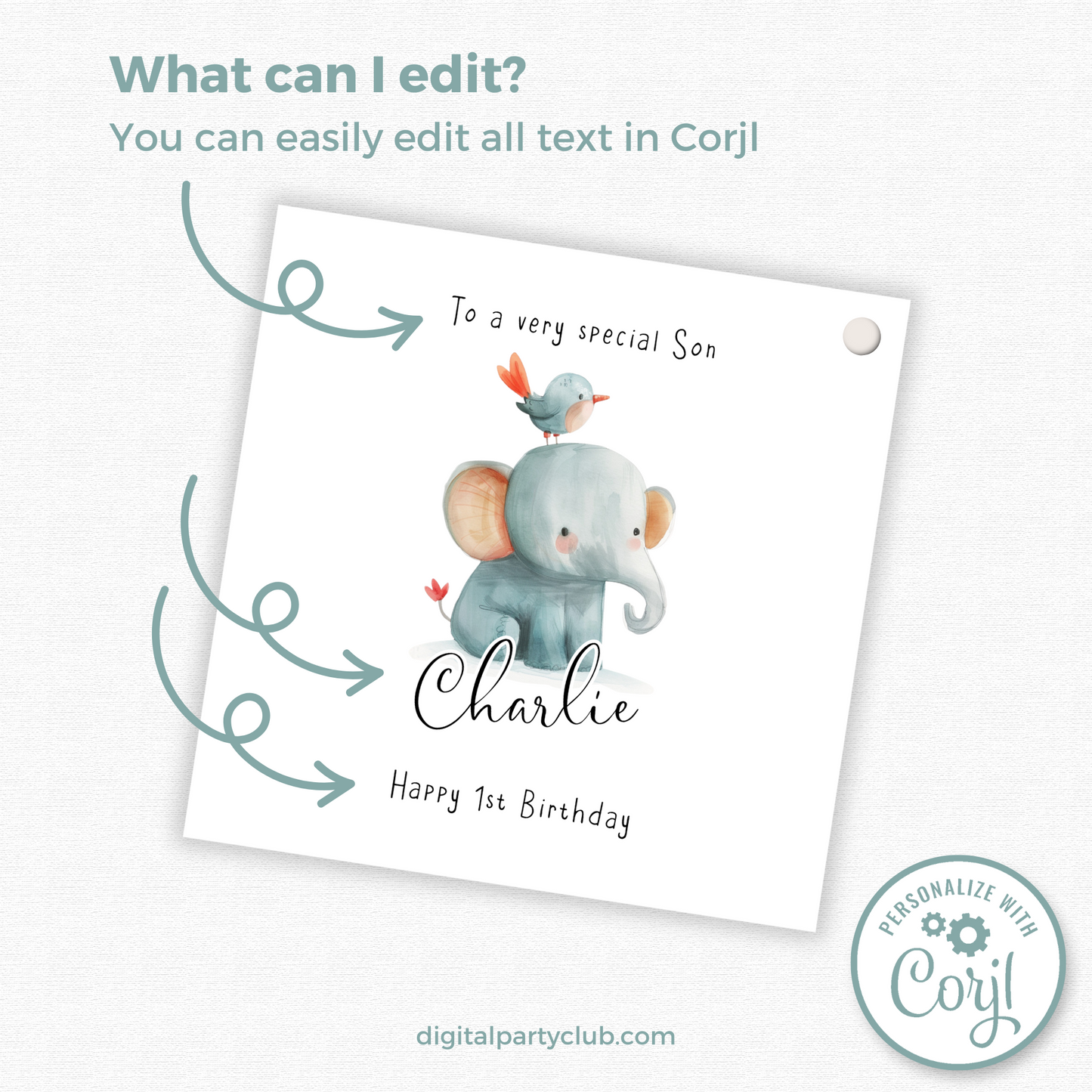 Editable Baby Elephant Birthday Gift Tag