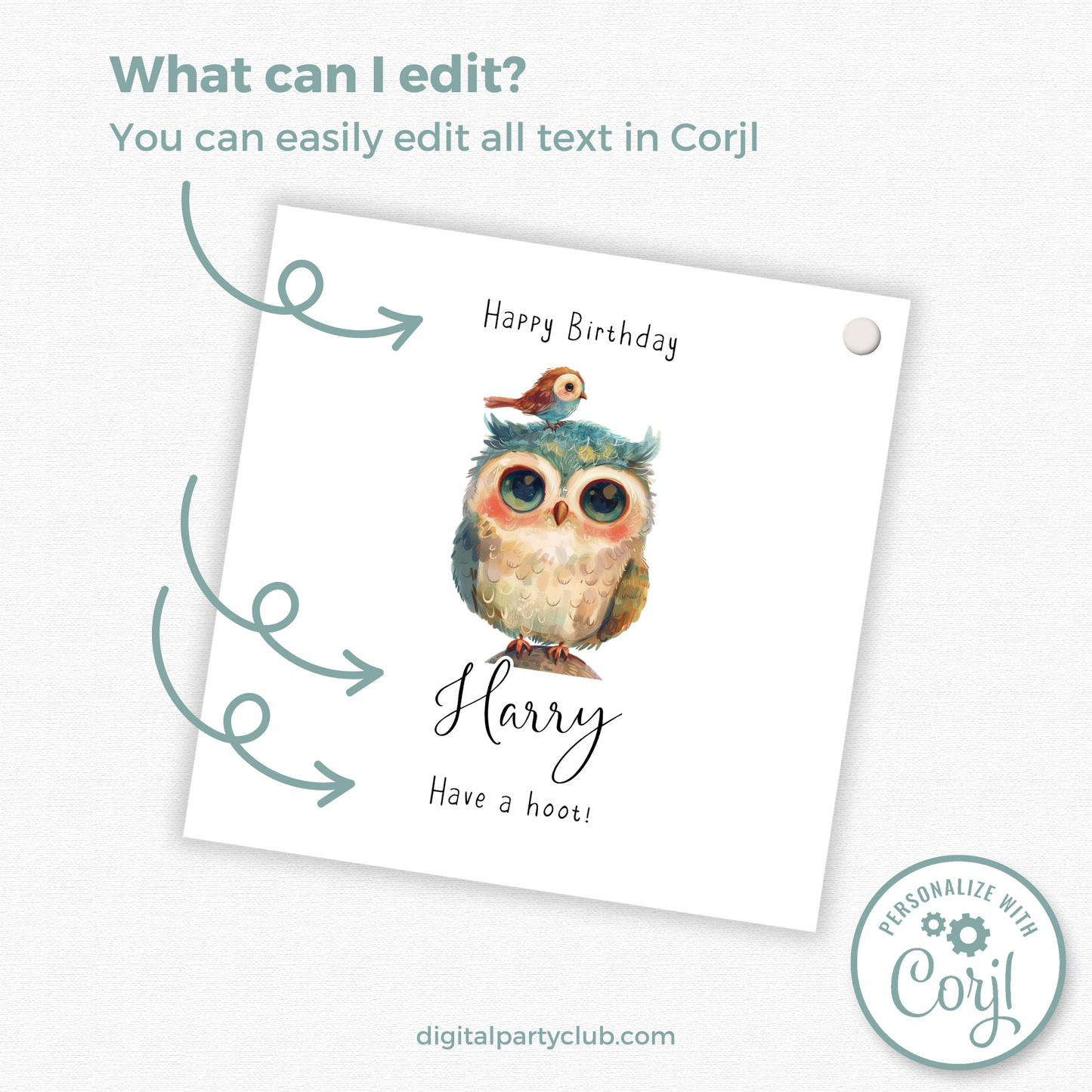 Editable Owl Birthday Gift Tag