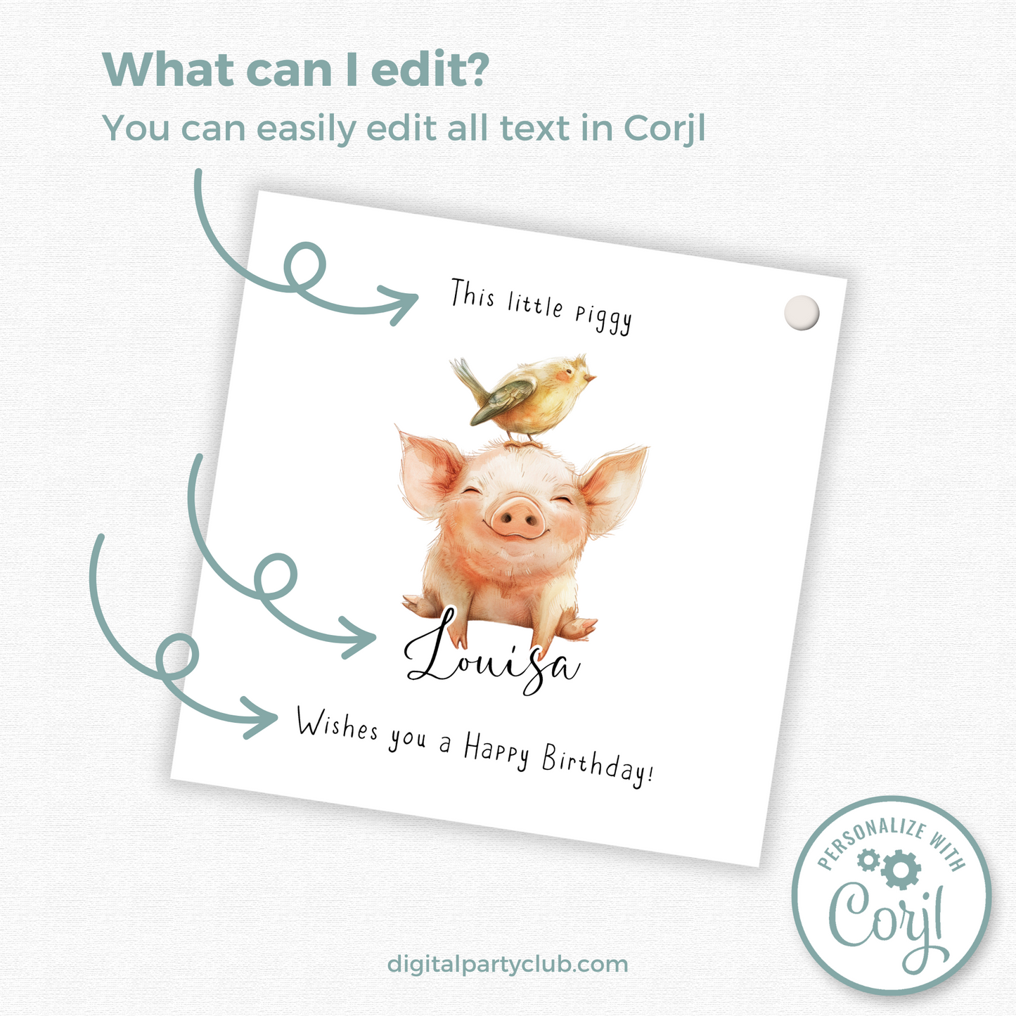 Editable Pig Birthday Gift Tag
