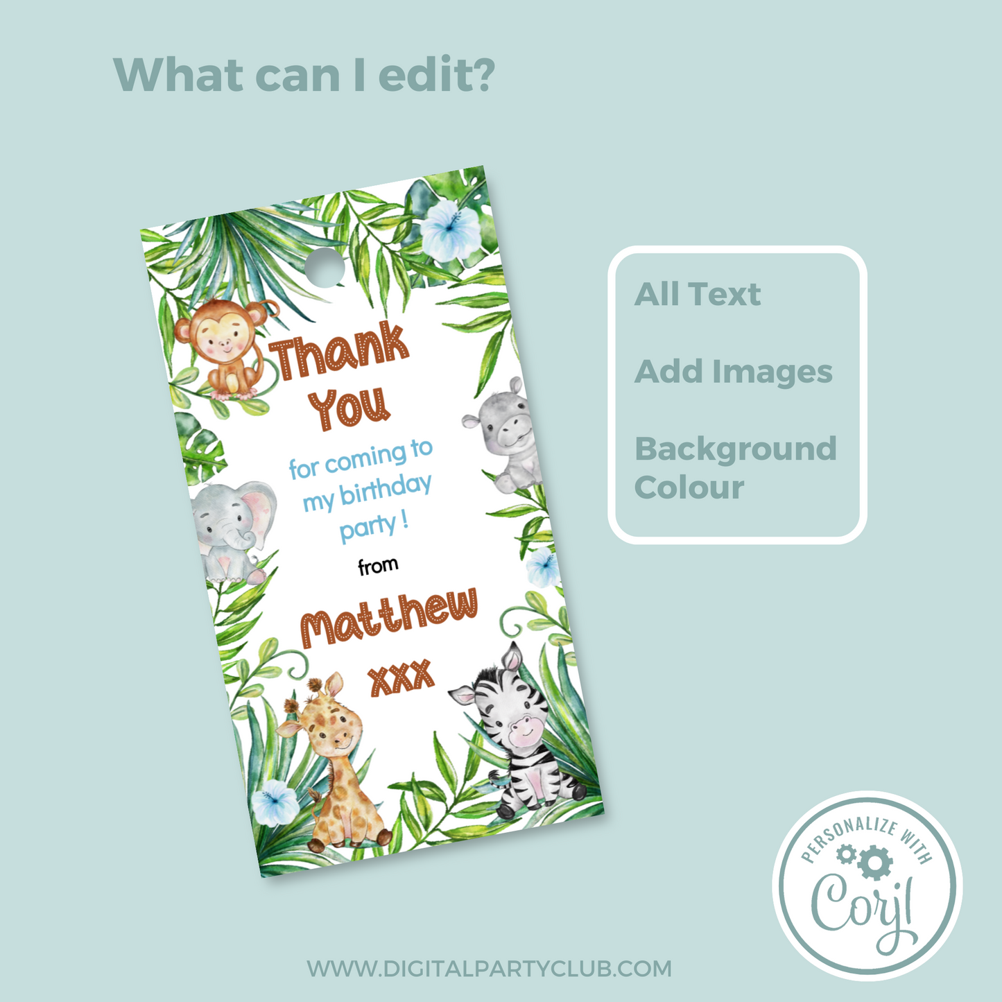 Editable Birthday Thank You Tag - Let's Go Wild