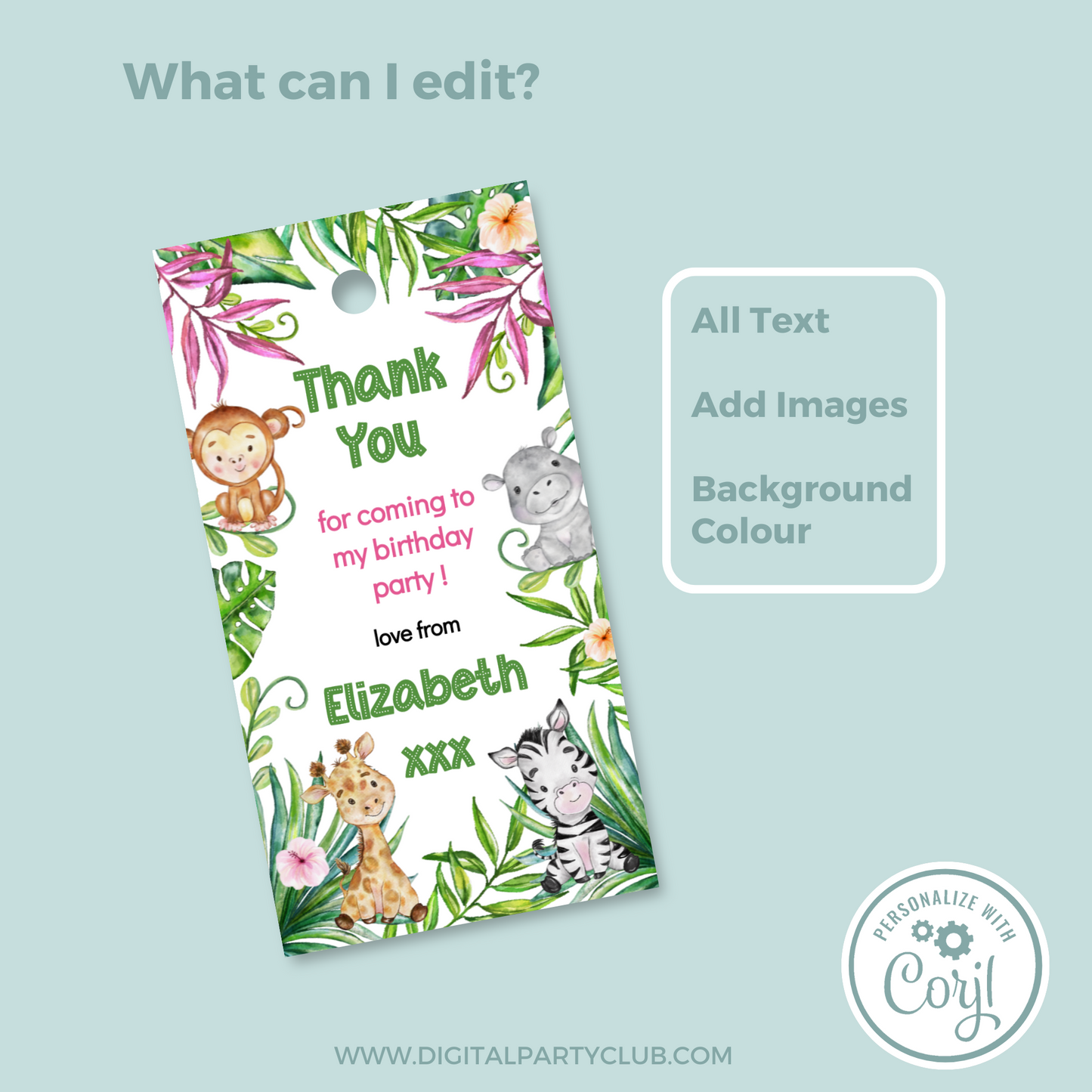 Editable Birthday Thank You Tag - Let's Go Wild