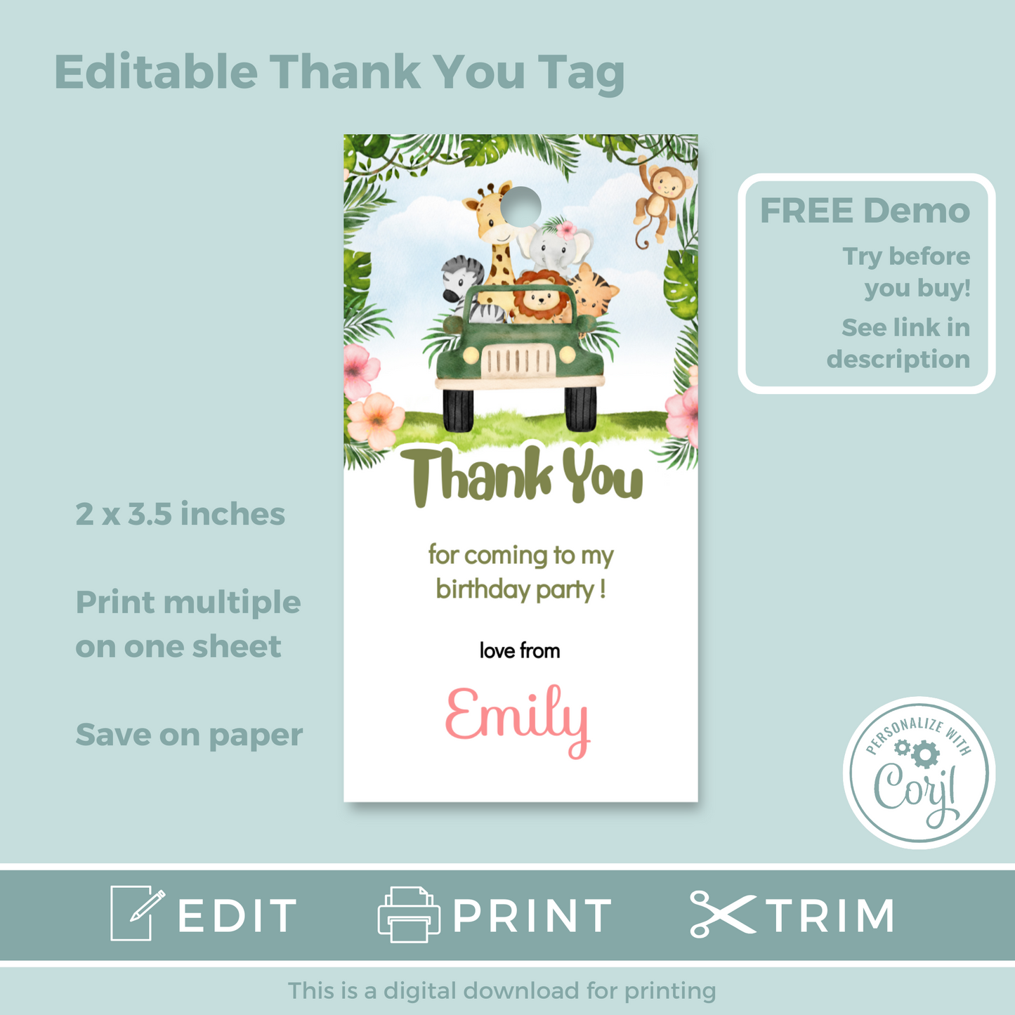 Editable Birthday Thank You Tag - Safari