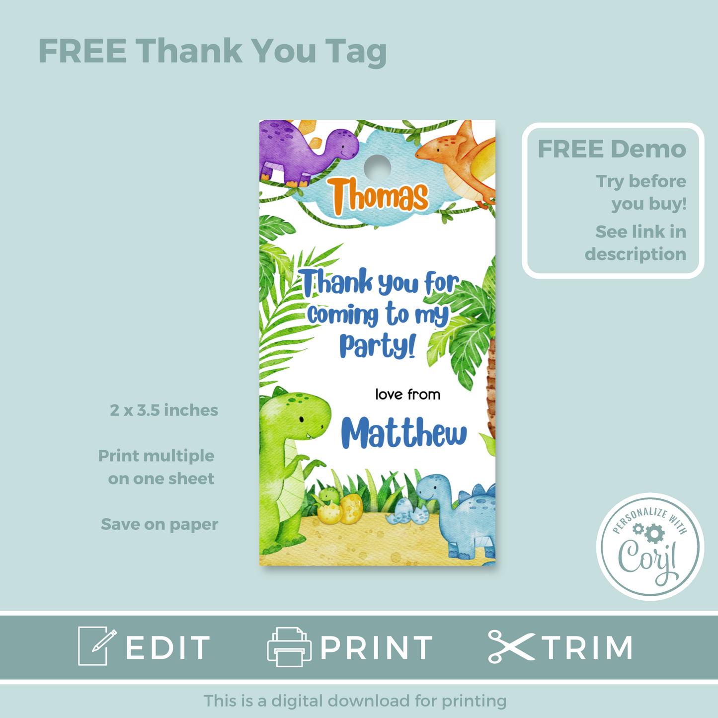 Editable Birthday Invitation and FREE Thank You Tag - Dinosaur