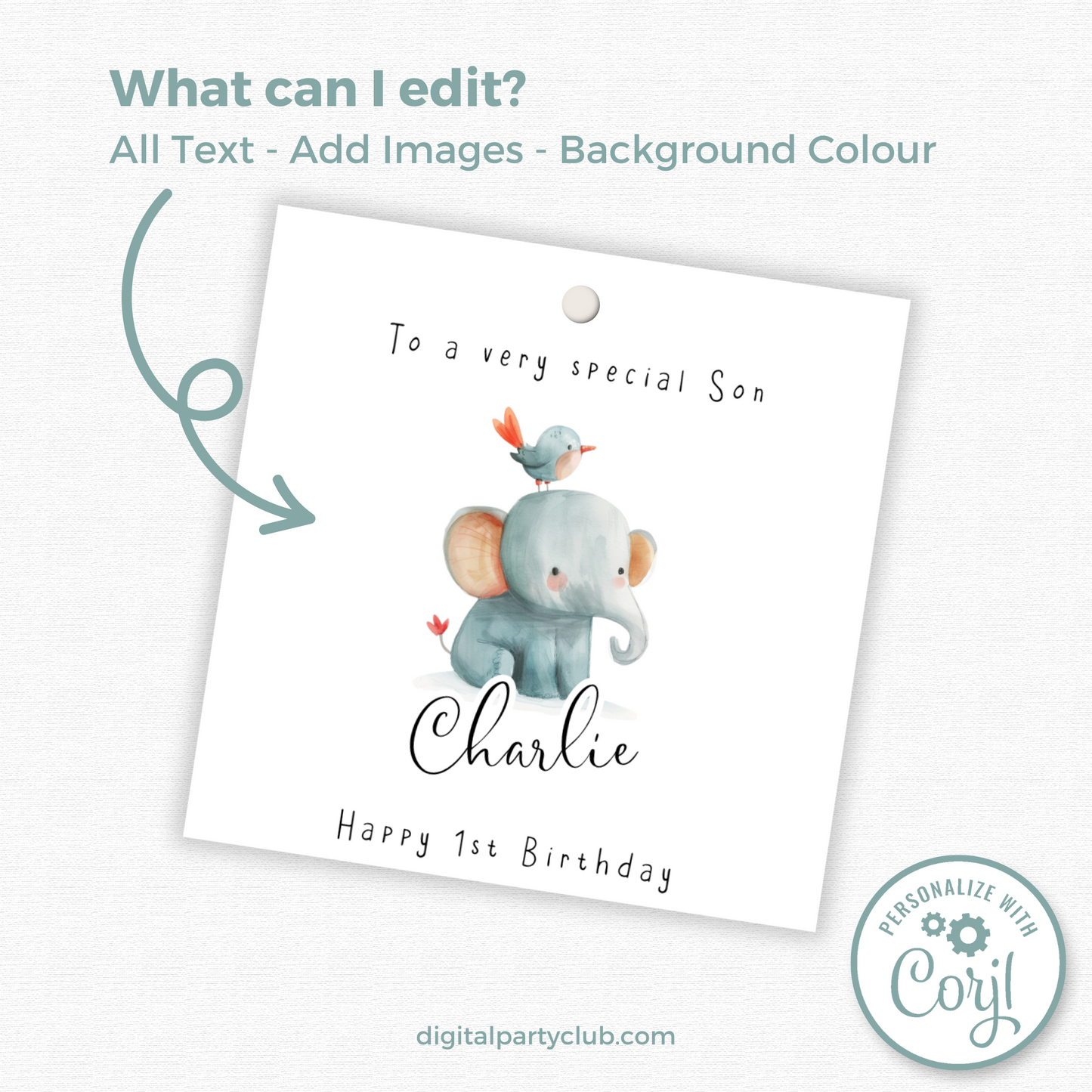 Editable Baby Elephant Birthday Gift Tag
