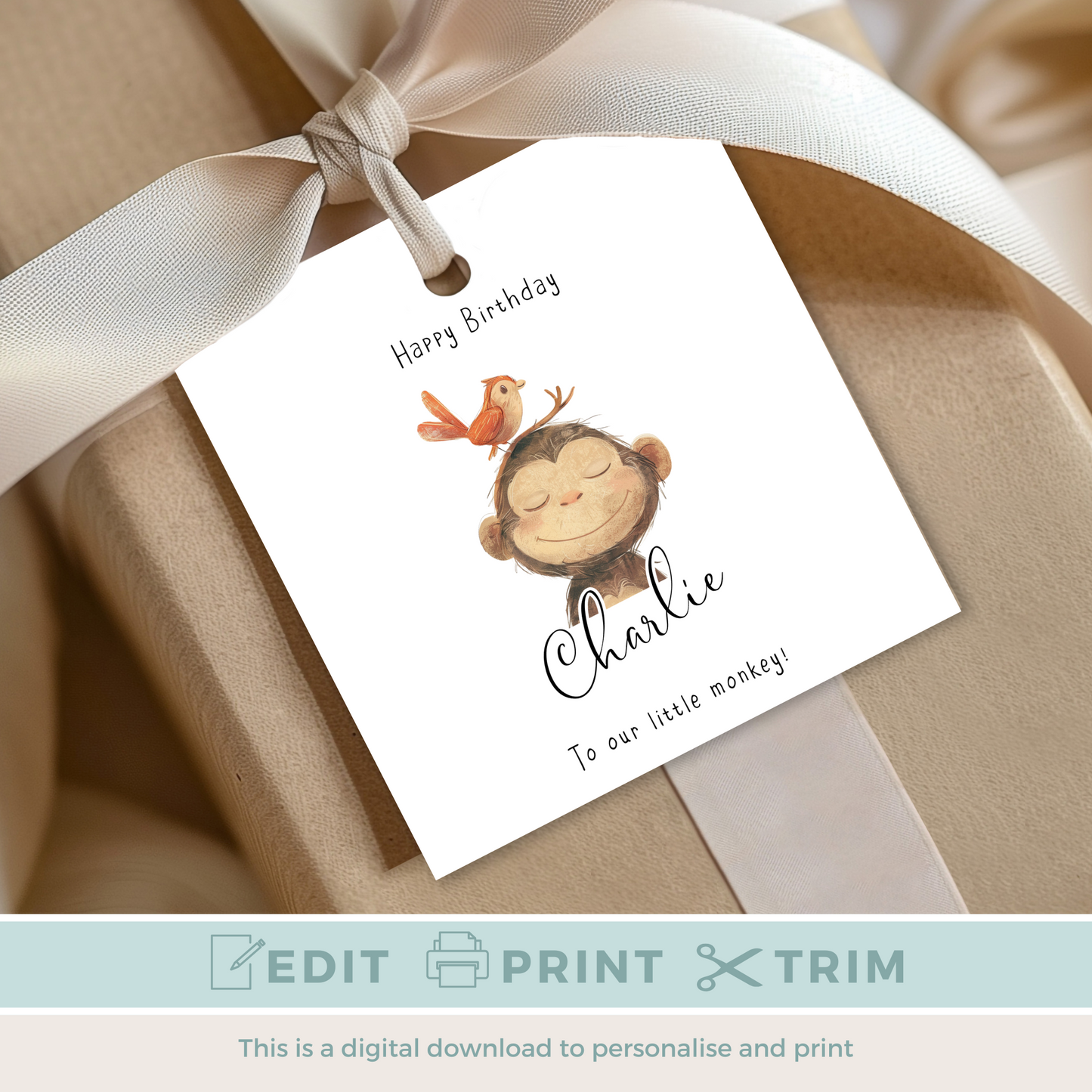Editable Cheeky Monkey Birthday Gift Tag
