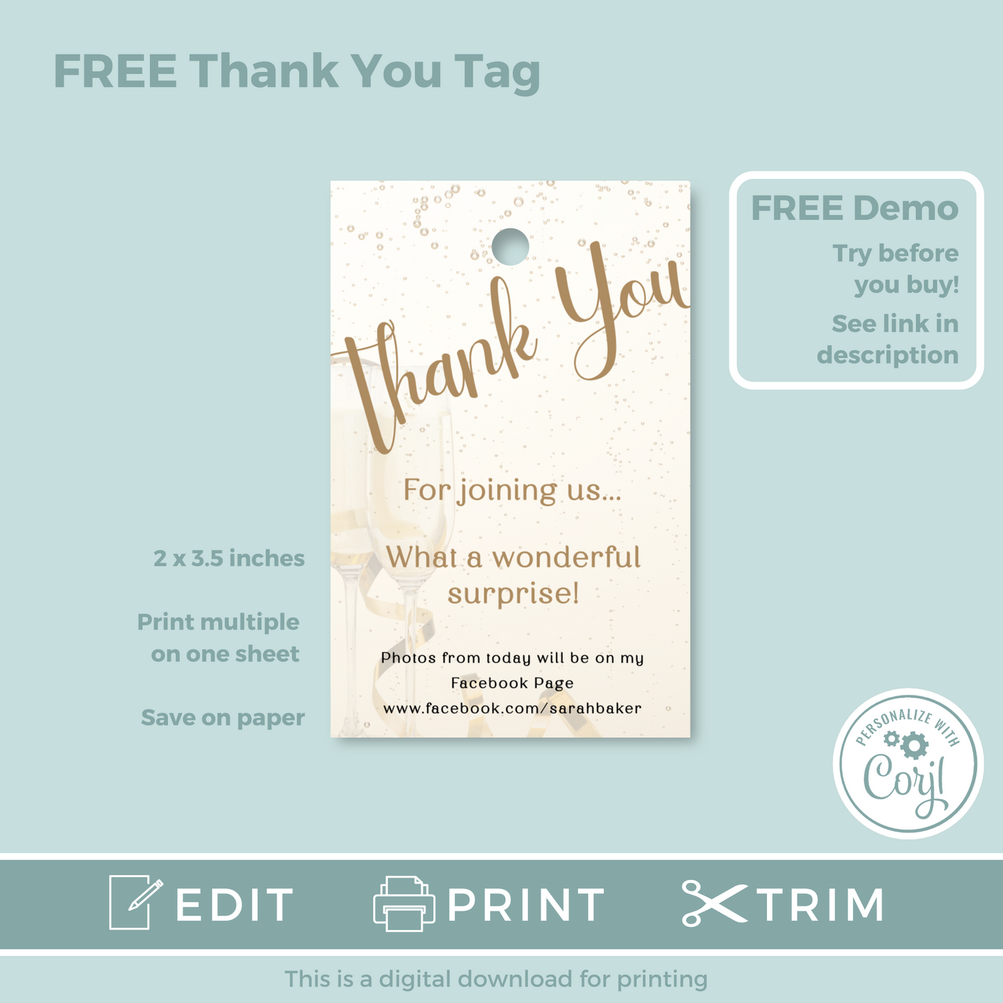 Editable Birthday Invitation and FREE Thank You Tag - Surprise Gold