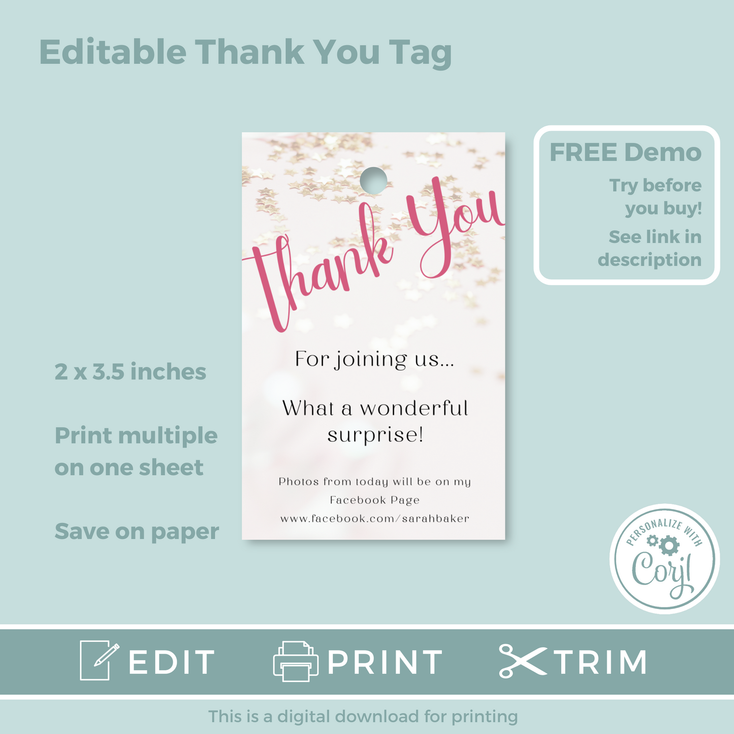 Editable Birthday Thank You Tag - Surprise Pink